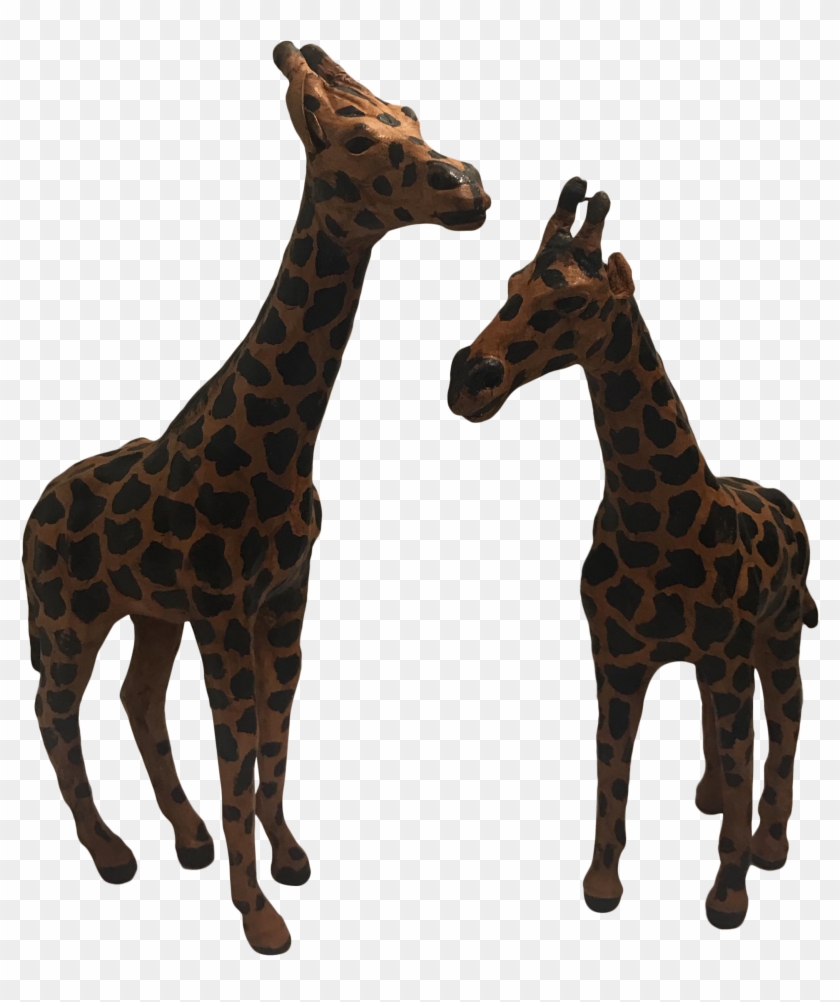 Giraffe #778758