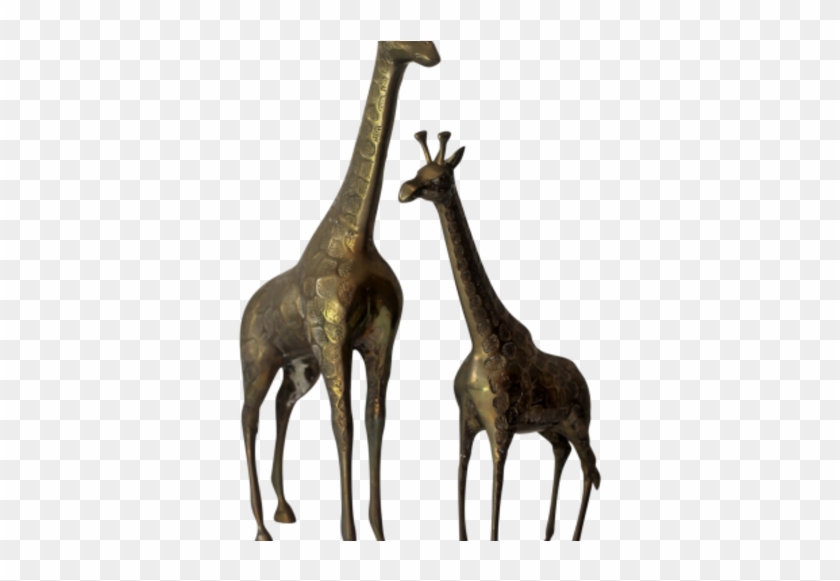 Couple Giraffe Brass Craft - Giraffe #778761