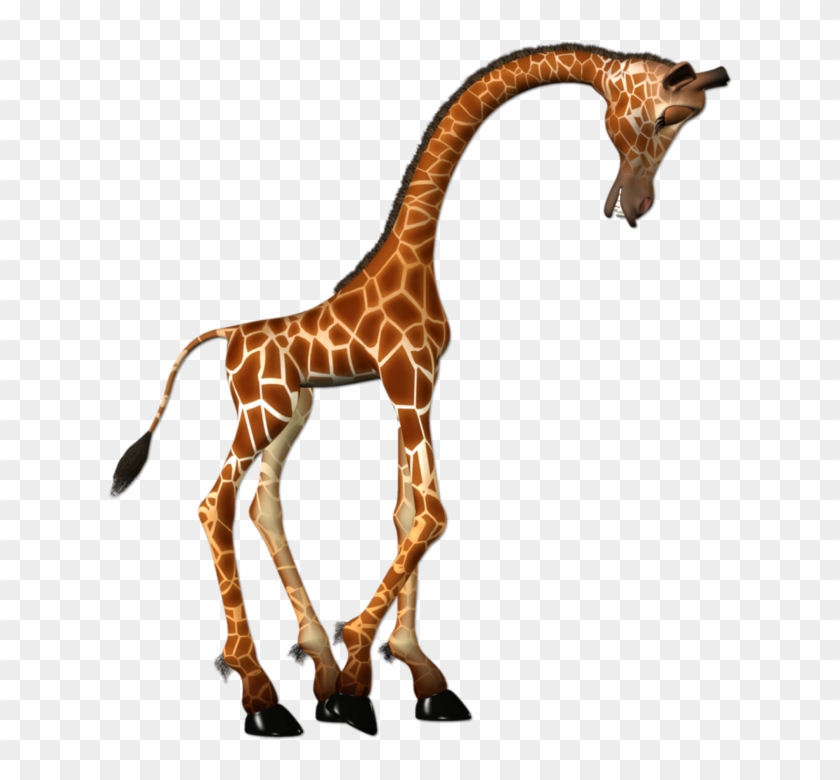 Anmatedpicgif55 Giraffe3 Giraffe 76366328 4491121 Giraffe1 - Silhouette Giraffe #778767