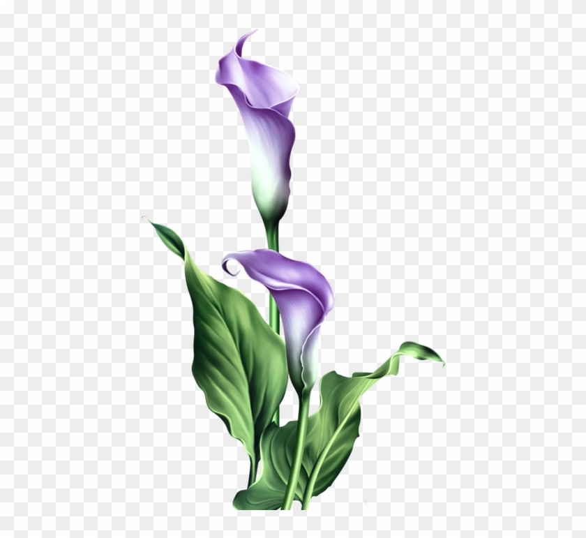 Purple Lily Easter Blessings Card #778769