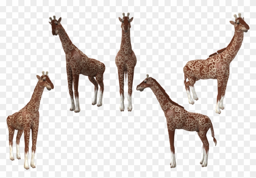 Spore Creature Reticulated Giraffe By Evilution90 On - Giraffe #778772