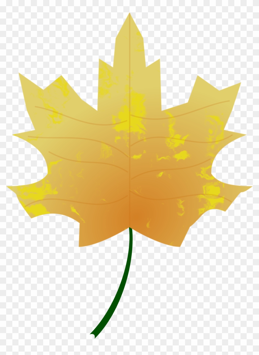 Autumn Colours Fall Leaf Nature Png Image - Autumn #778782