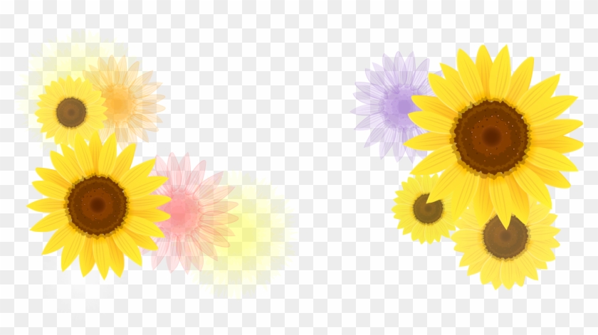 Common Sunflower Euclidean Vector Pattern - Common Sunflower Euclidean Vector Pattern #778873