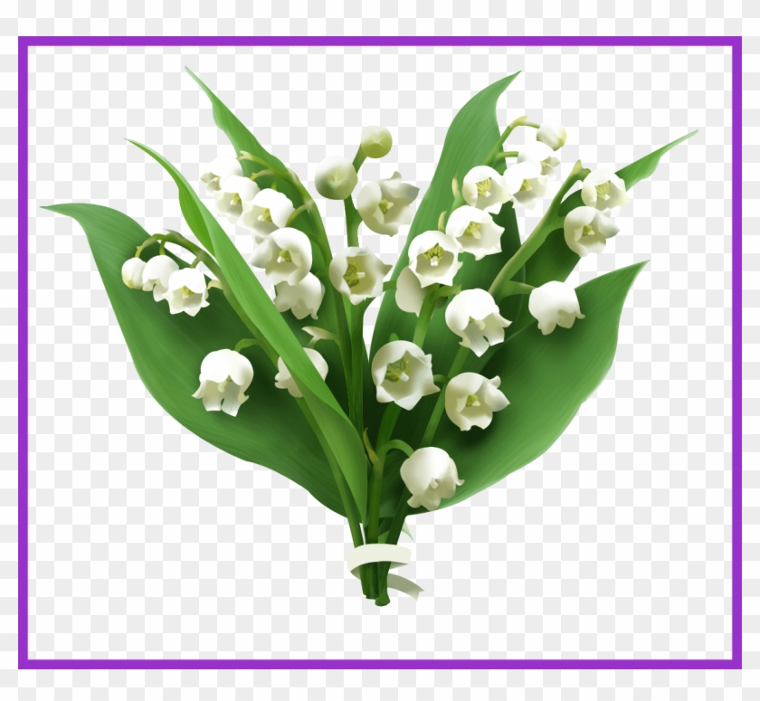 Fascinating Lily Of The Valley Png Picture Mart Flower - Lily Of The Valley Png #778816