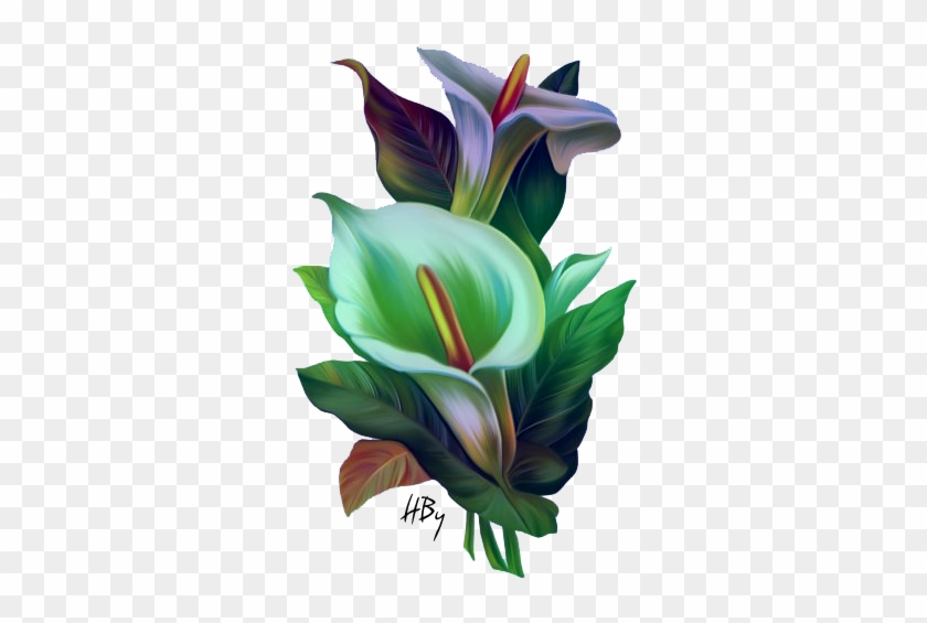 Flowers Png Arum - Saludos De Buenos Dias #778821