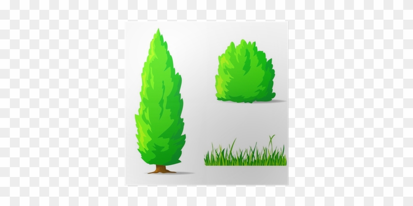 Vertical Tree, Bush, Grass - Grass Shrubs And Trees #778840