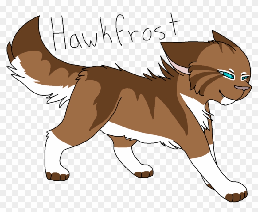 37 Hawkfrost By Icedog Mcmuffin - Warrior Cats Icedogs Mcmuffin #778978