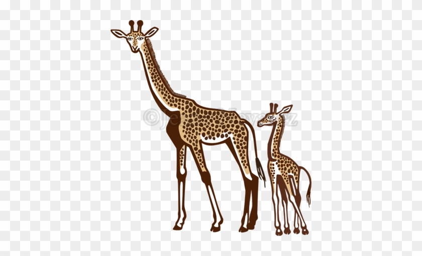 Giraffe And Calf - Giraffe And Calf #778997
