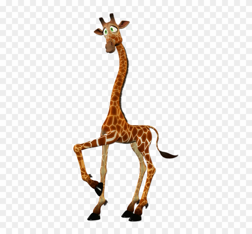 Animals Giraffes - Giraffe #779002