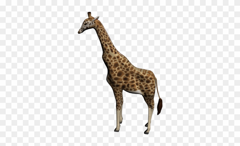 Giraffe By Lai-cy - Giraffe 3d Model Free #779003