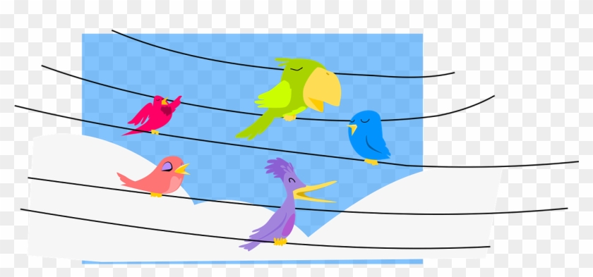 Birds 2025632 - Music #779057