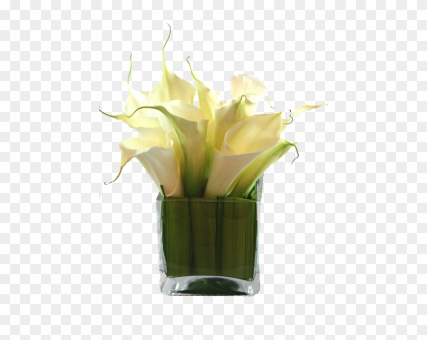 Calla Lilies - Jarro De Vidro Quadrado Flores #779150