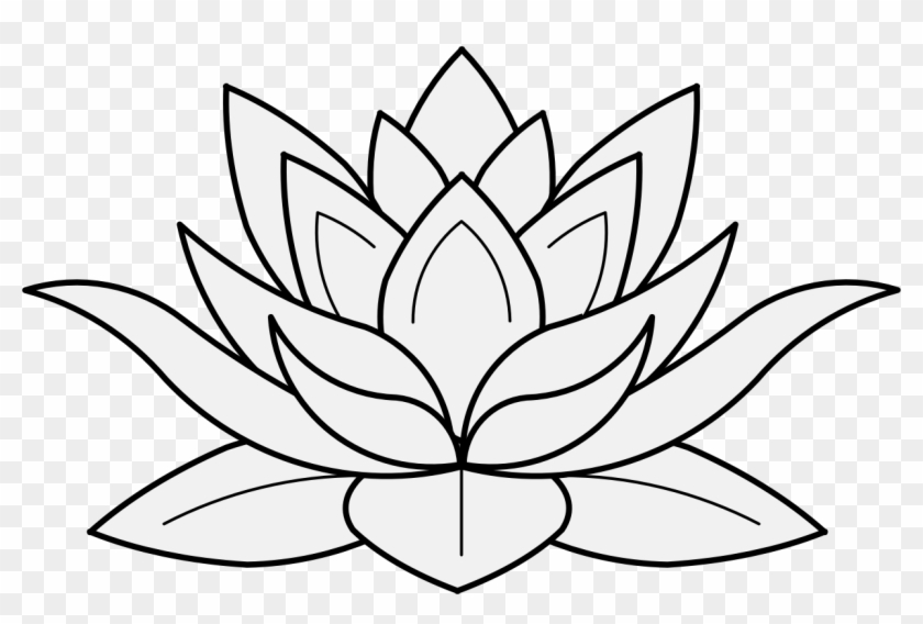 Lotus - Lotus Flower Drawing Png #779151