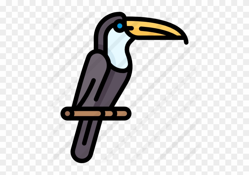 Toucan - Toucan #779224