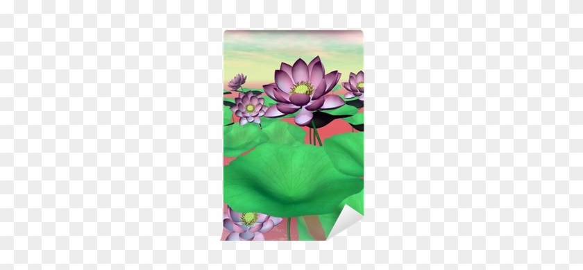 Pink Waterlilies And Lotus Flowers - Sacred Lotus #779262