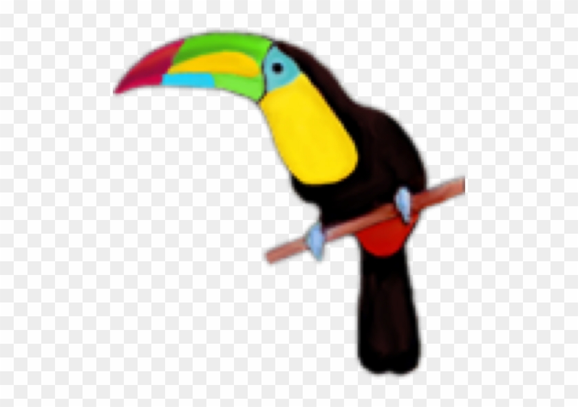 Toucan #779283