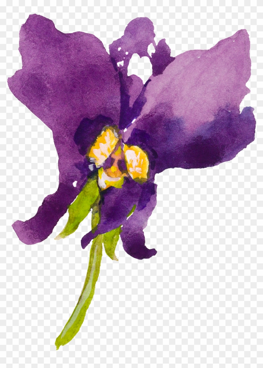 Purple Cartoon Butterfly Orchid Watercolor Transparent - Watercolor Painting #779332