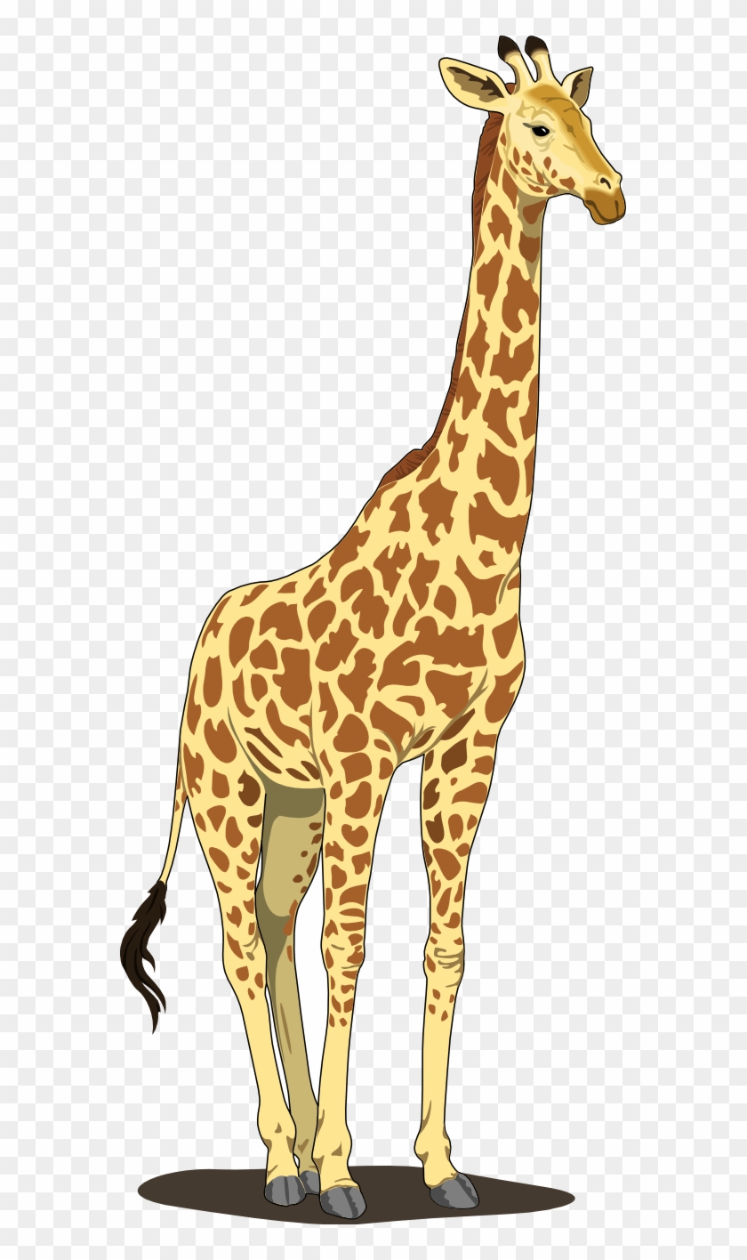Best Giraffe Clipart - Giraffe Clipart #779365