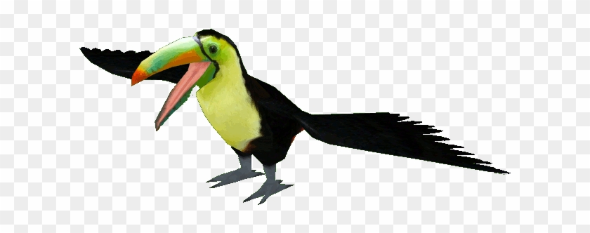 Keel-billed Toucan - Toucan #779529