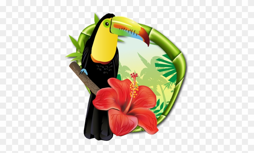 Jungle Dream Adventures Costa Rica - Toucan #779552