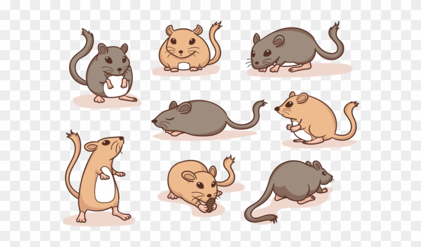 Gerbil Cartoon Vector - Cartoon Gerbil Transparent Background #779700