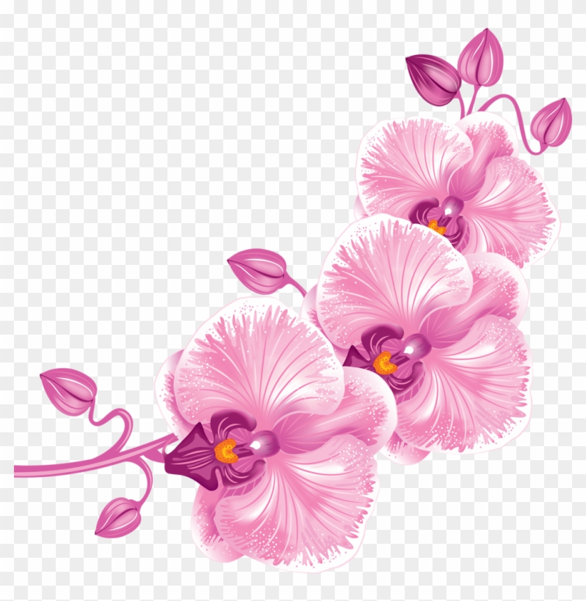 Ð¾ñ€ñ Ð¸ð´ðµð¸ Png Orchid And Art Flowers - Free Orchid Clip Art #779711