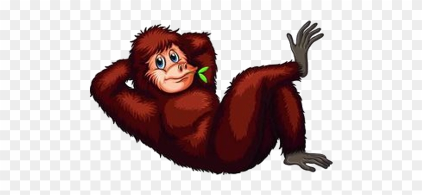Orangutan Animal Illustrations Stock Photography Clip - Orang Utan Clipart #779800