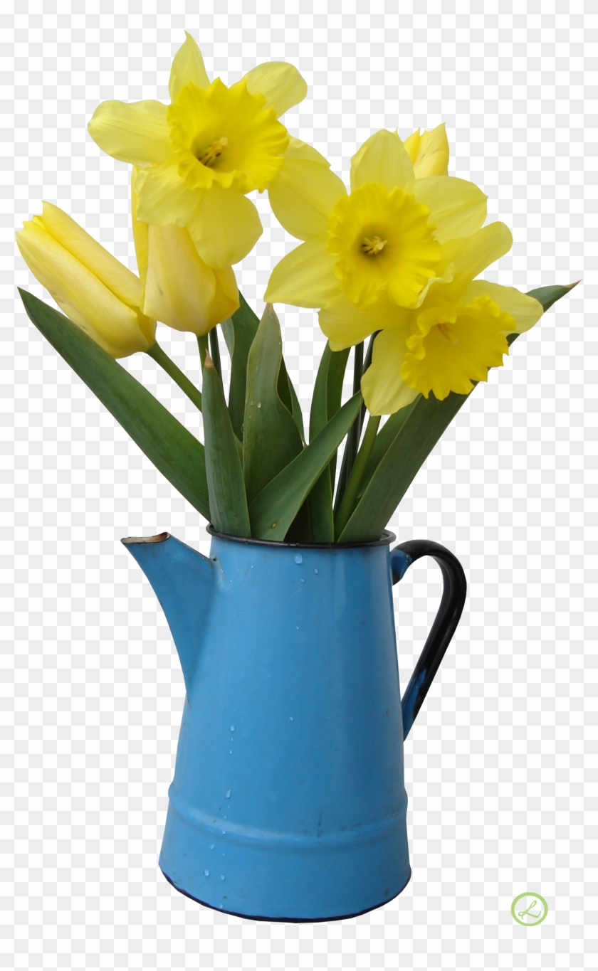 Flower Daffodil Stock Photography Vase - Flower Daffodil Stock Photography Vase #780135