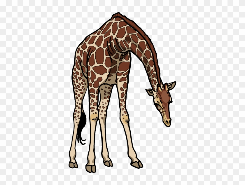 Giraffe For Logo - Giraffe With Head Down #779912
