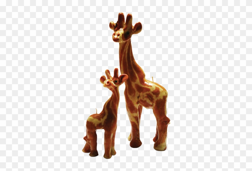 Giraffe Candle - Animal Figure #779928