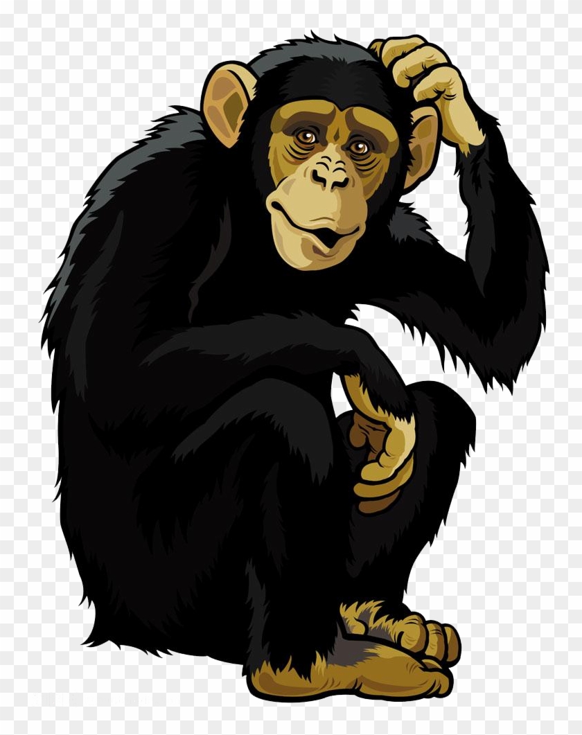 Orangutan Monkey Chimpanzee Clip Art - Orangutan Monkey Chimpanzee Clip Art #780002