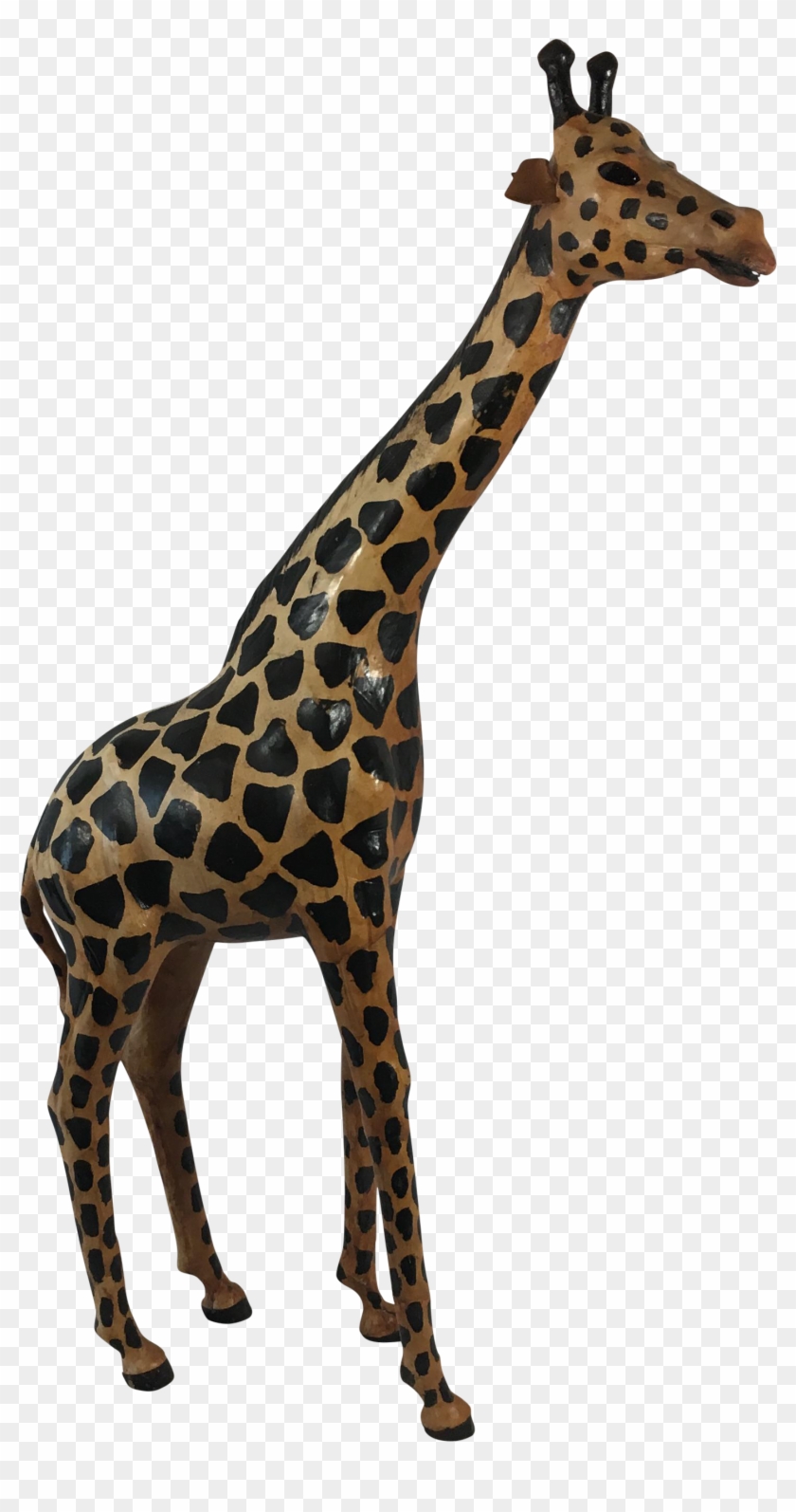 Giraffe #779959