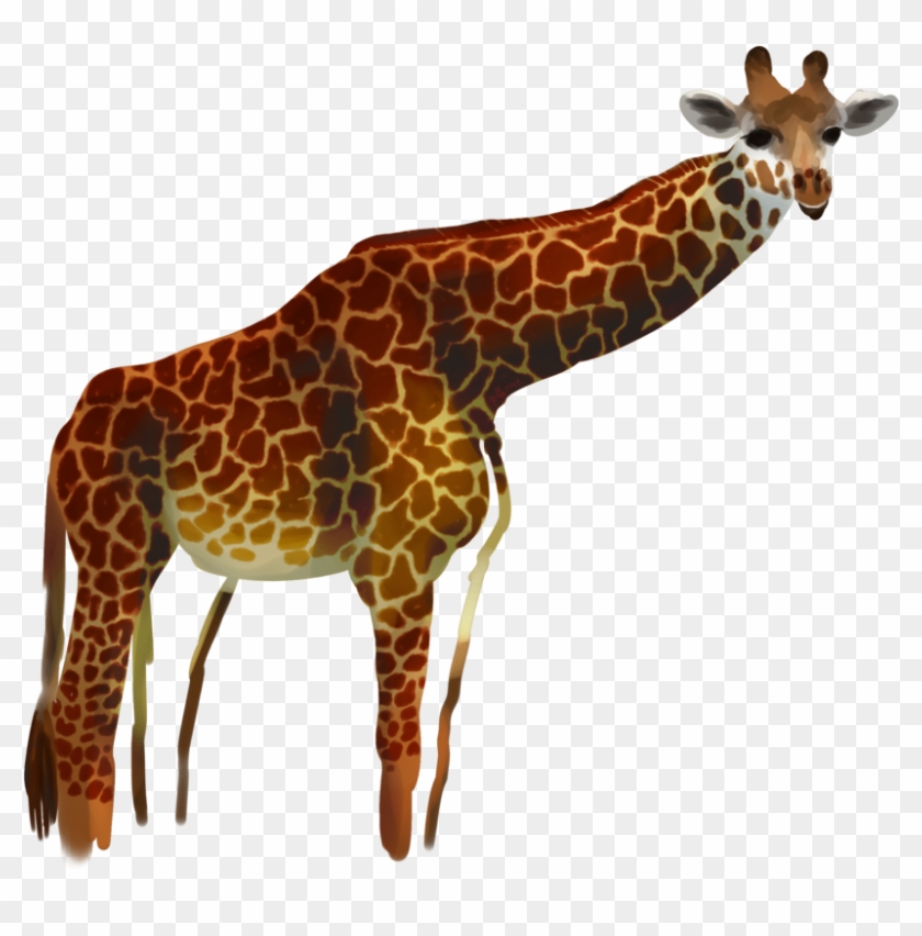 Giraffe By Procastinagoat Giraffe By Procastinagoat - Giraffe #780008