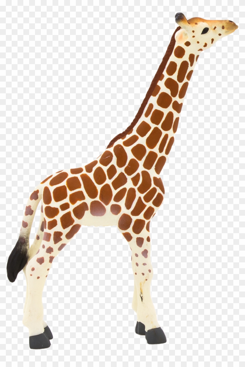 Animal Planet Giraffe Calf - Mojo Giraffe Calf Hand Painted Replica Wild Animal #780070