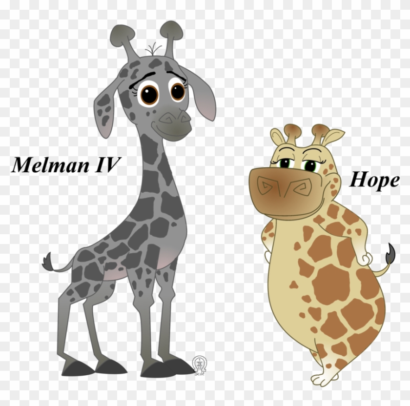 Giraffe Clipart Melman - Madagascar Melman And Gloria #780082