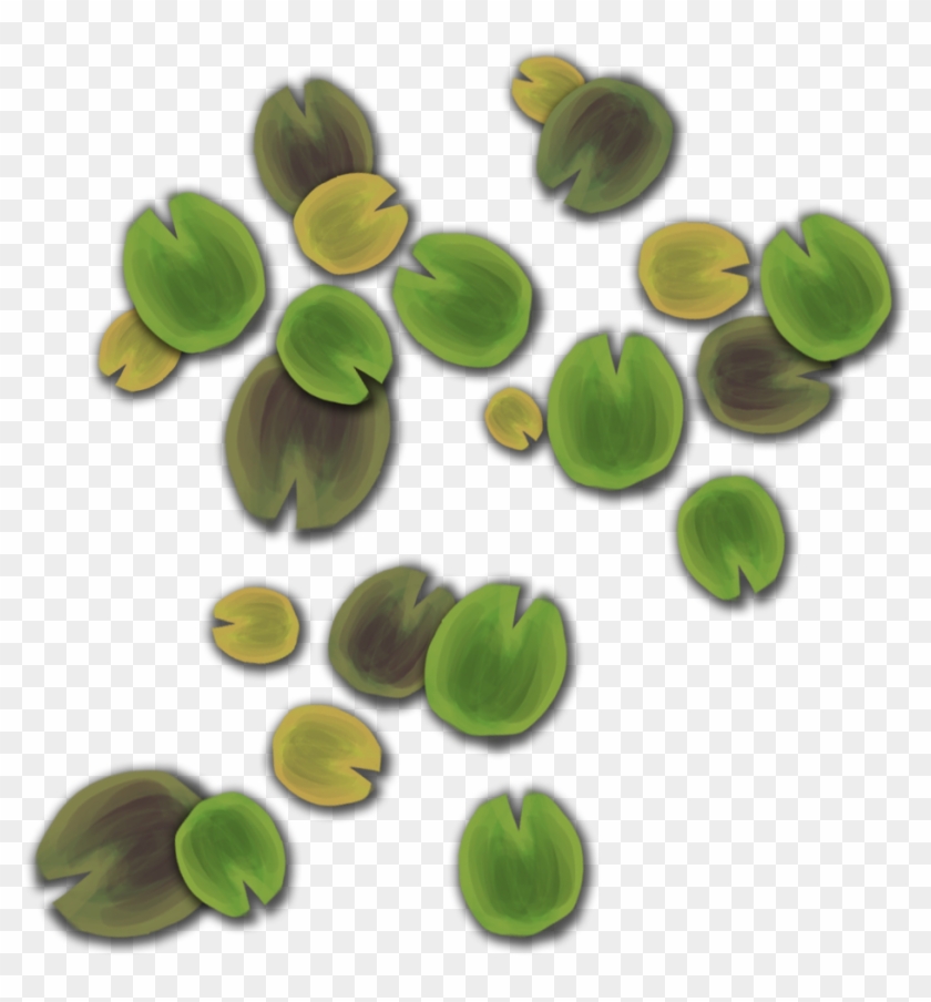 The Landscape Mostly Modelled, Unwrapped And Marked - Chlorophyta #780500