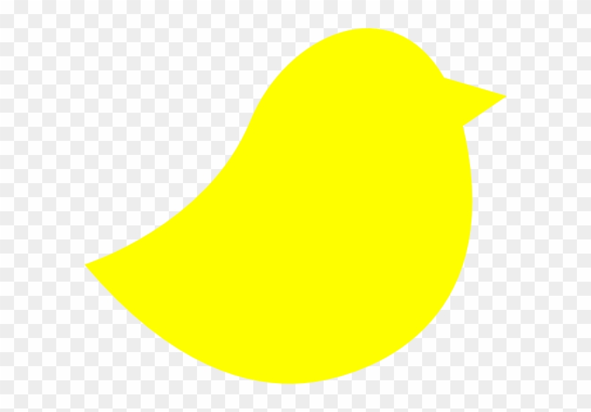 Bird #780512