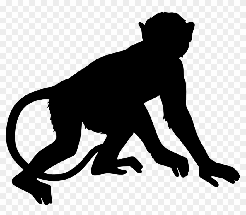 Primate Monkey Clip Art - Primate Monkey Clip Art #780731