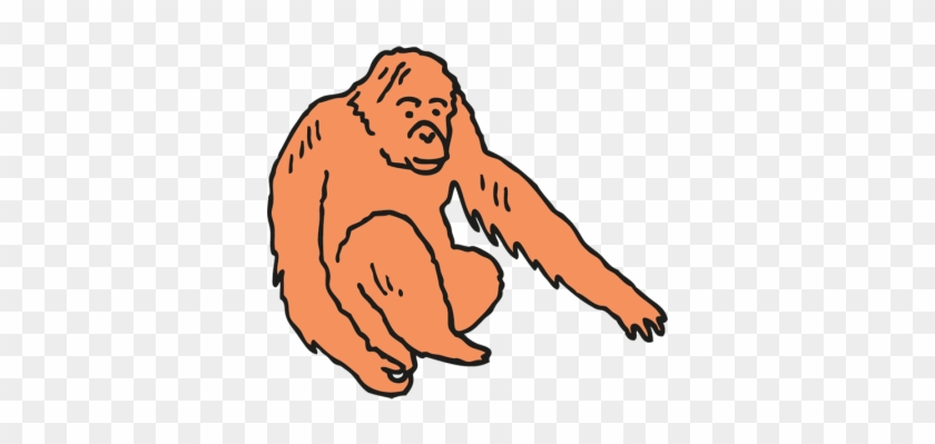 You Are An Orangutan - You Are An Orangutan #780792