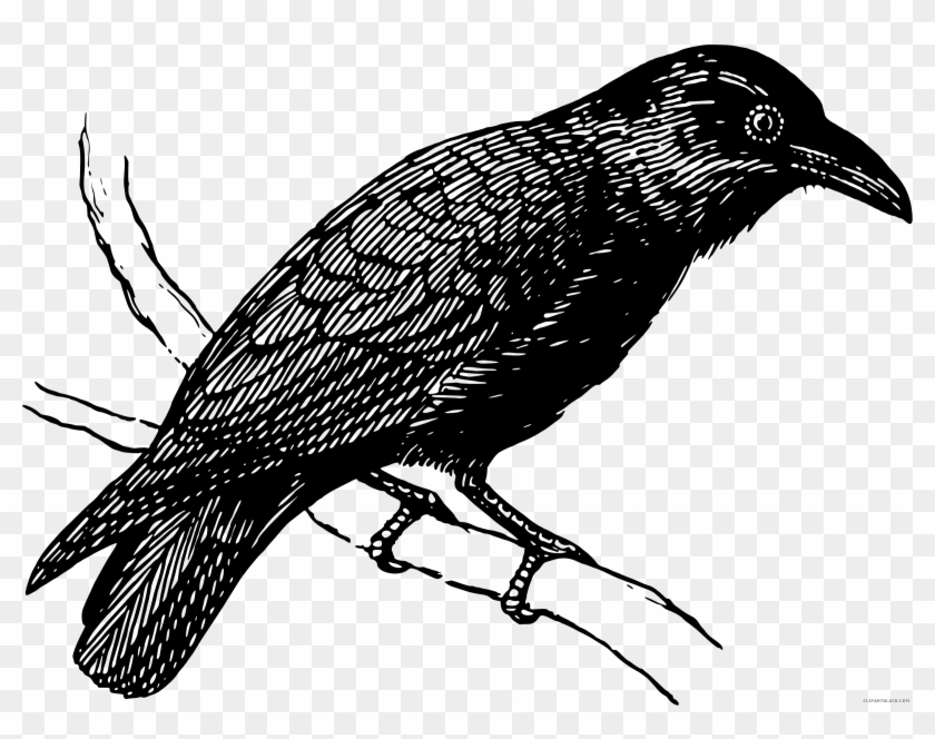 Raven Animal Free Black White Clipart Images Clipartblack - Raven Hoodies & Sweatshirts #780953