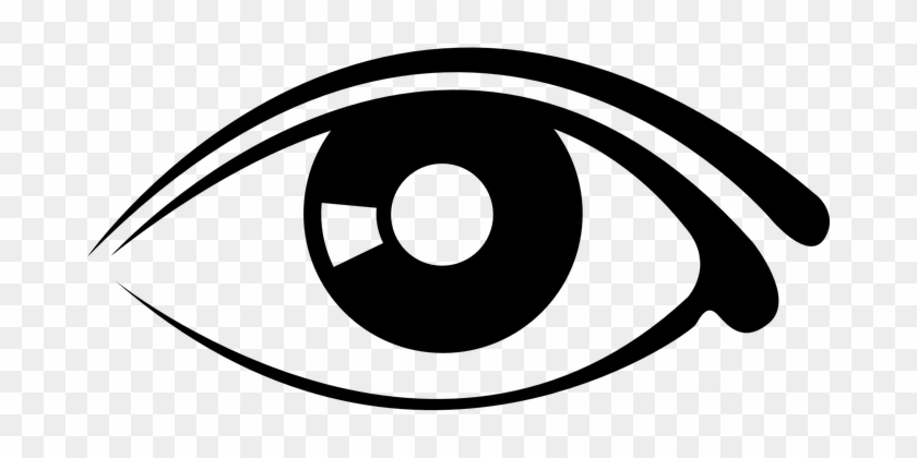 Eye Human Eyeball Body Part Pupil Sight Vi - Eye Graphic #781027