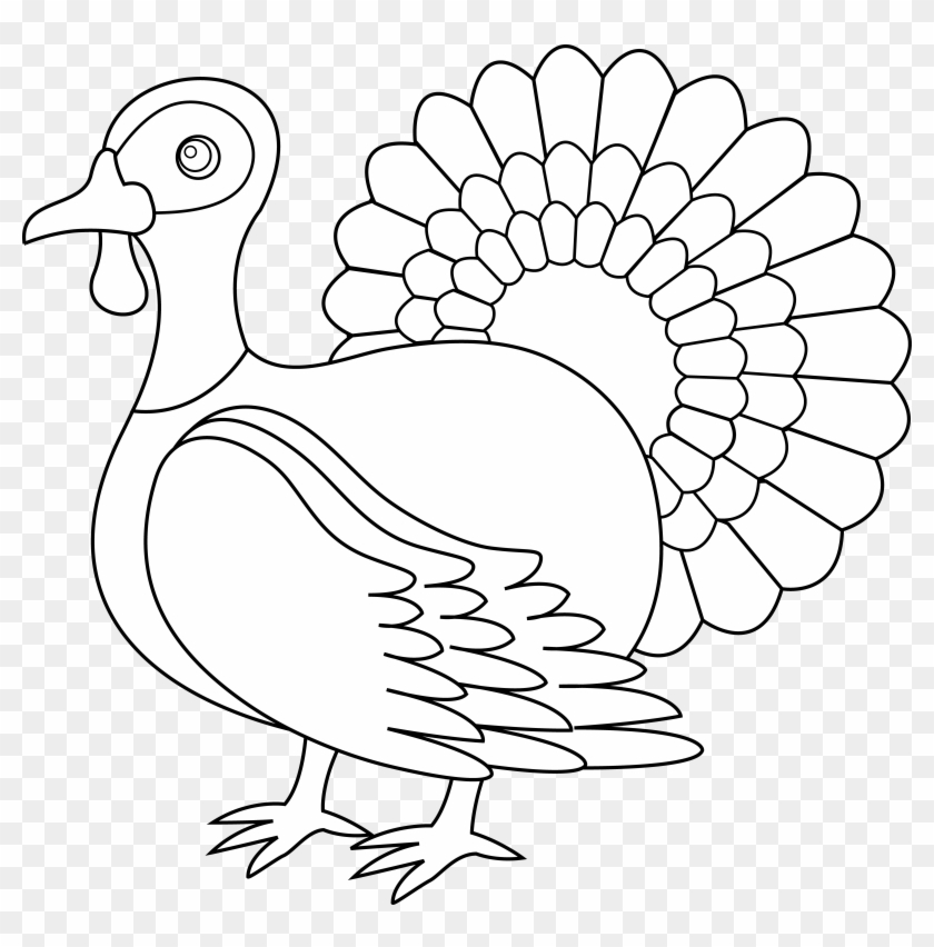 Thanksgiving Turkey Line Art - Get Your Fat Pants Ready #781133
