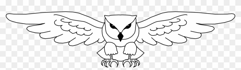 How To Draw A Cartoon Owl In A Few Easy Steps Easy - Easy To Draw Owl -  Free Transparent PNG Clipart Images Download