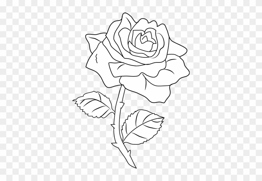 Flowers Rose Drawing - White Rose Drawing Png #781223