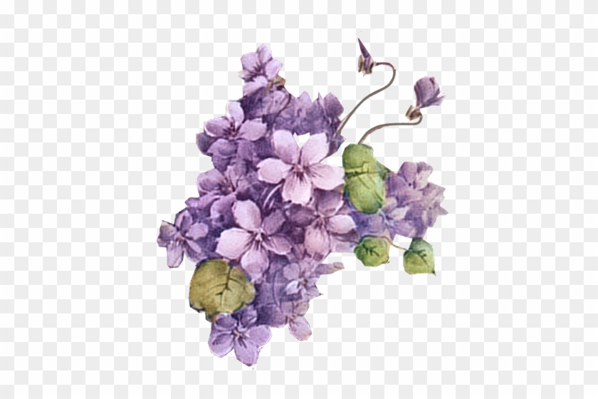 Flower 5 Tuckdb Org - Violet Vintage Flowers Png #781411
