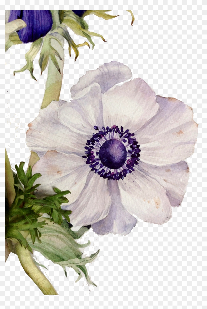 Floral Design Flower Painting - Flowers Vintage Painted #781417