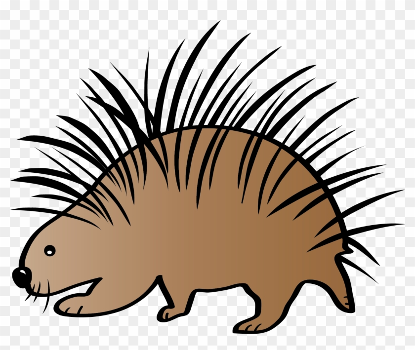 Hedgehog #781859