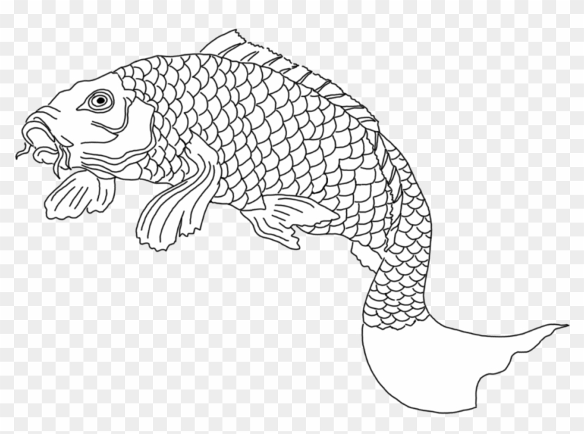 Koi Fish Sketch Black White - White #782383