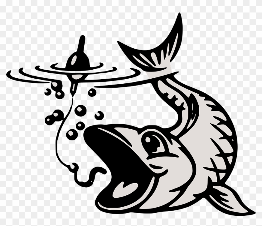 Collection Of Koi Fish Coloring Page - Fish On Hook Vector #782426
