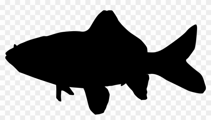 Common Goldfish Koi Drawing - Silhouette Of A Goldfish #782433